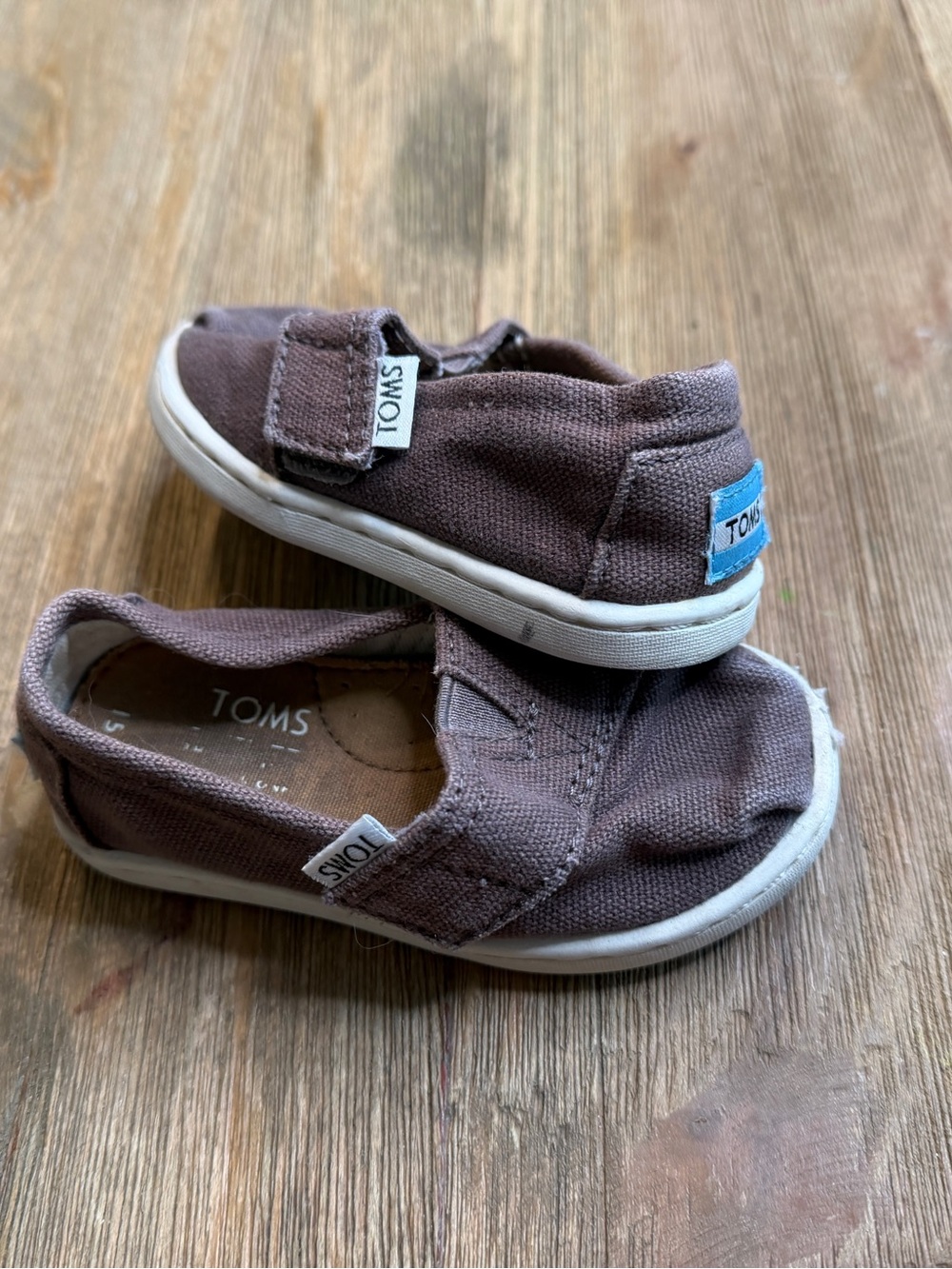 TOMS Kids Grat Canvas Slip-On Sneakers with Velcro size 5